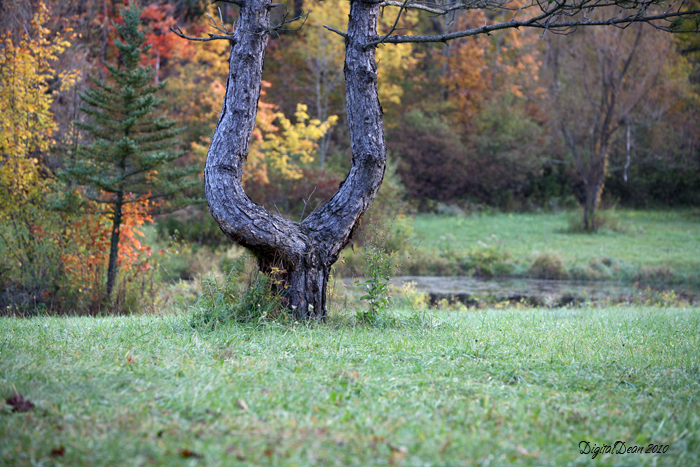Beautiful Setting near Cleveland