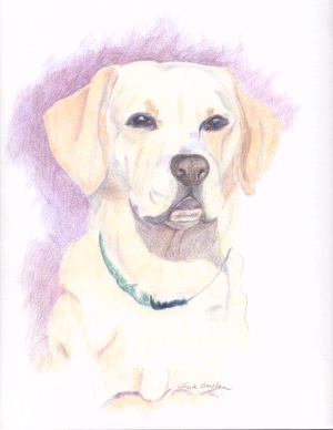 Lily