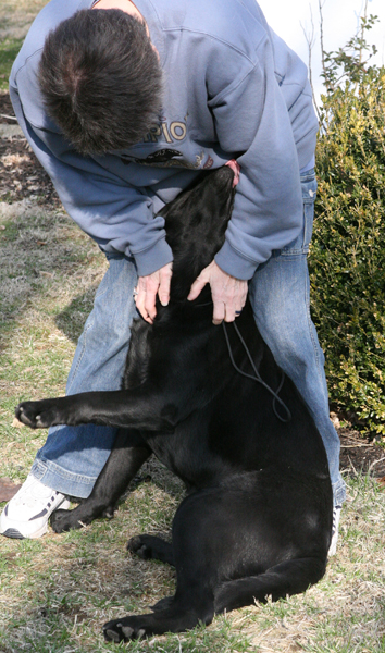 Merlin