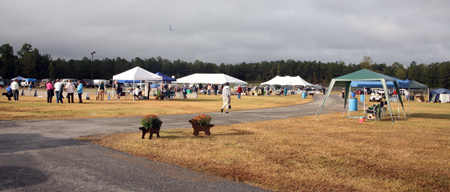 grounds