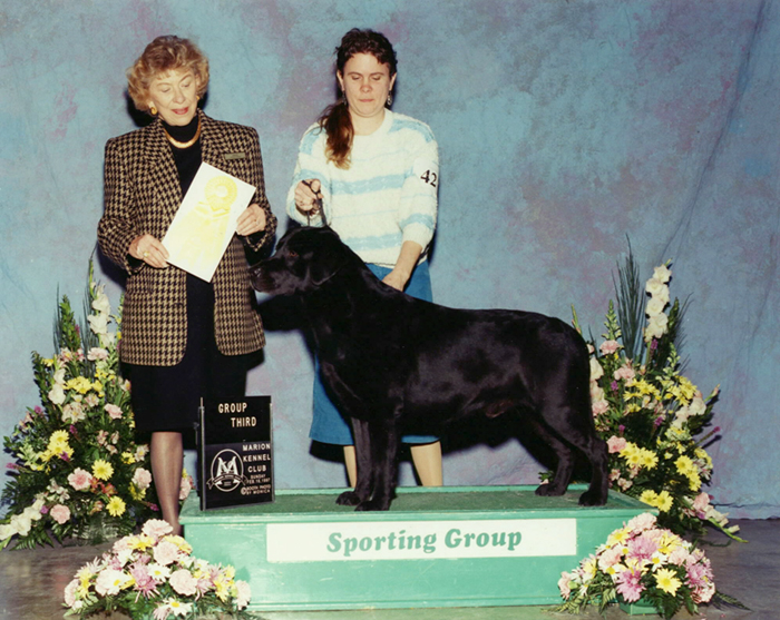 Sporting Group 3